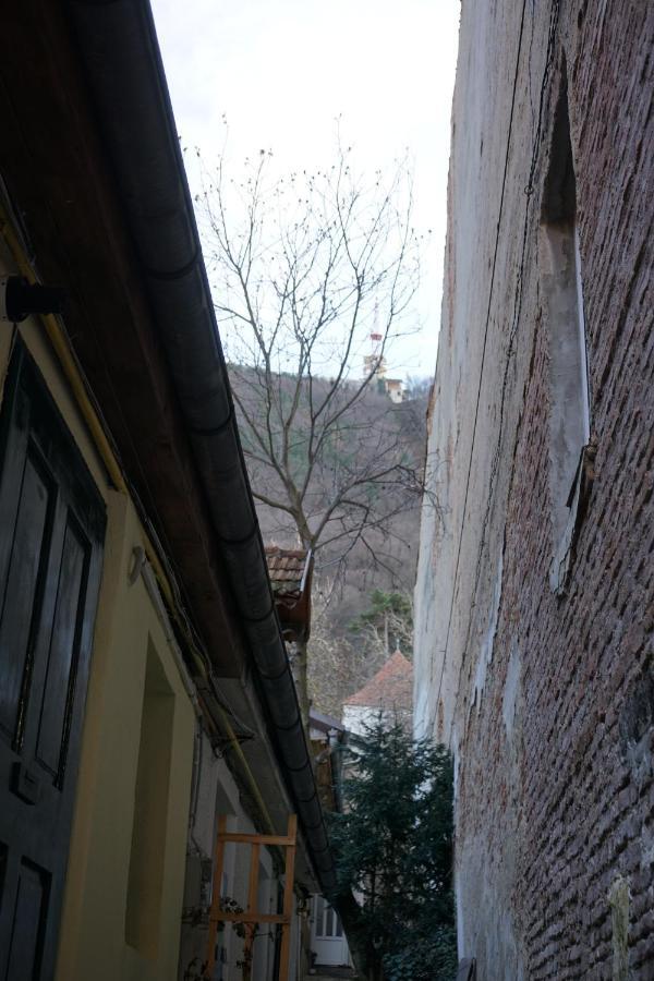 Crown Of Karolina Apartment Brasov Exterior photo